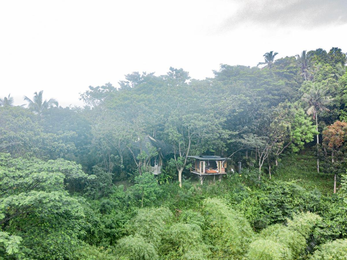 Villa Bird Hills Bamboo House Karangasem Exterior foto
